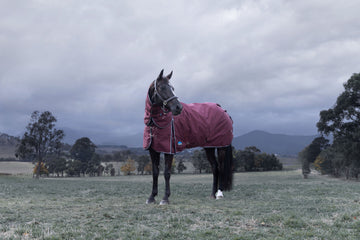 WeatherBeeta ComFiTec Essential Detach-A-Neck Turnout - Burgundy/Navy (220g)